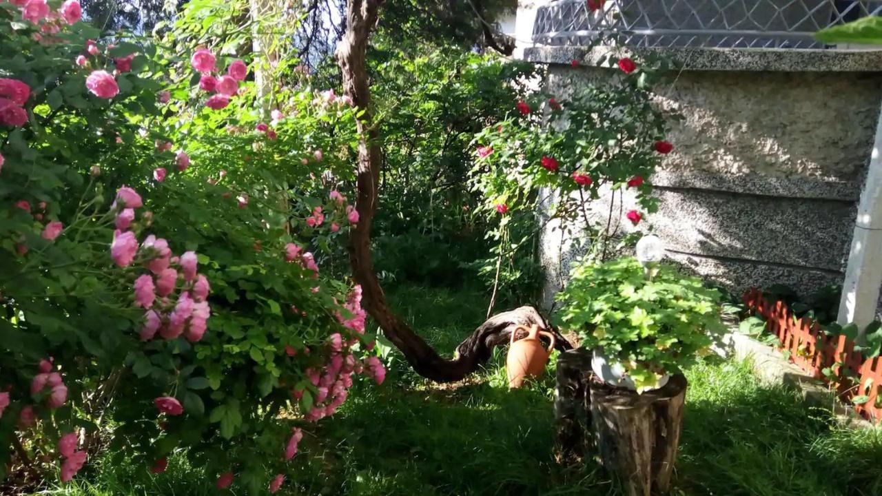 Belivanovi B&B House 大特尔诺沃 外观 照片